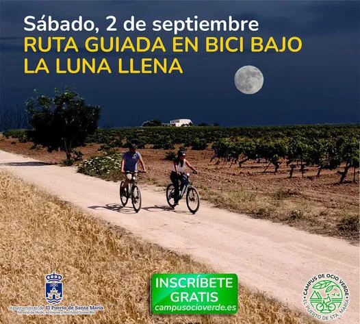 RUTA