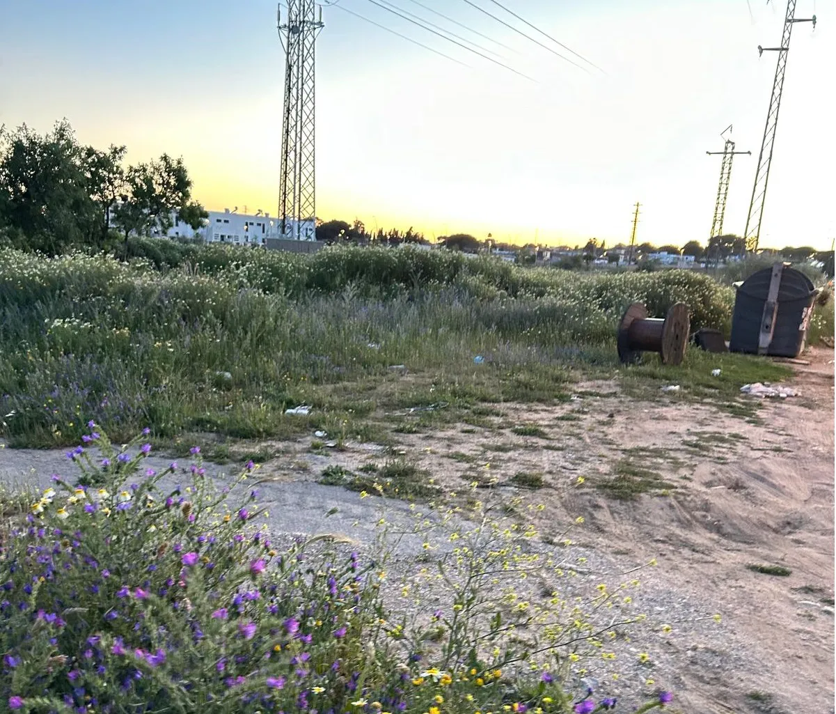 Parque Urbano Cañada del Verdugo (11)
