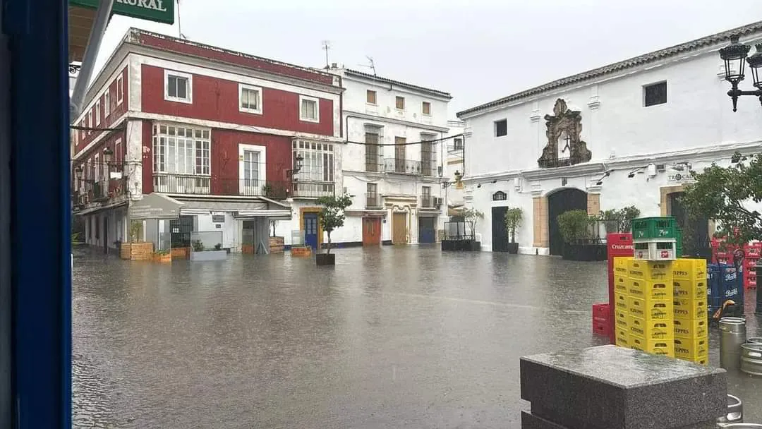 FB_IMG_1730384673218