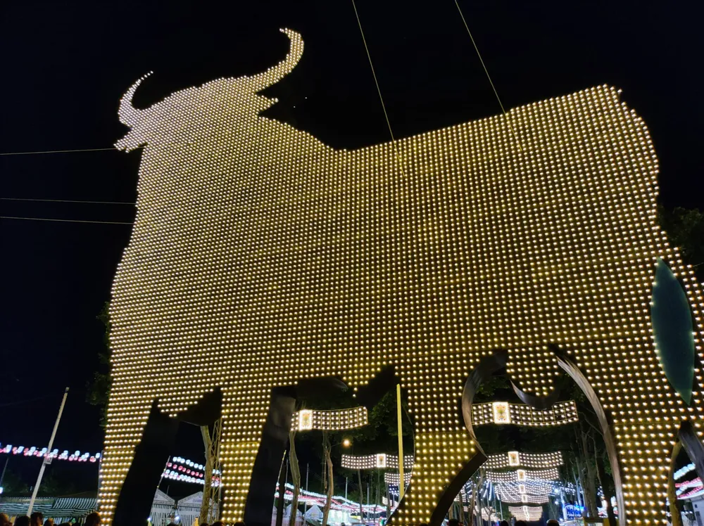 WhatsApp Image 2024-06-06 at 13.15.09