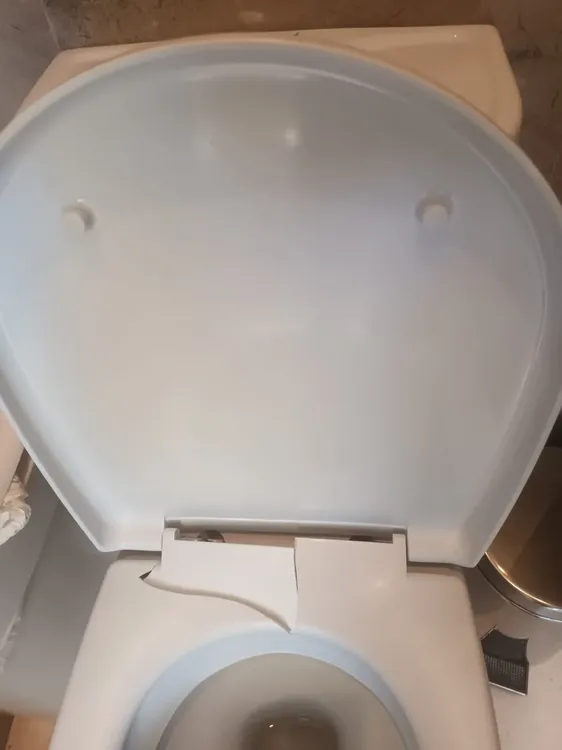 Limpieza baños ayuntamiento3