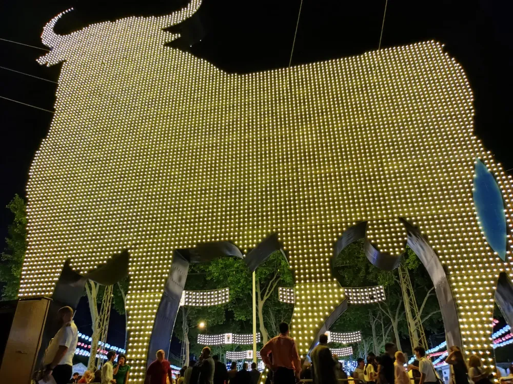 WhatsApp Image 2024-06-06 at 13.13.12