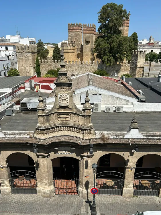 foto 2 (2)