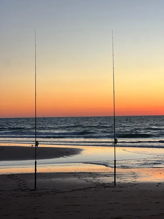 Pesca 2