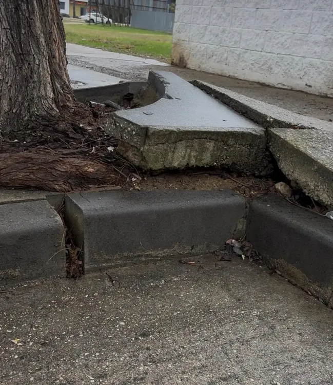 El Juncal (13-11-25) (1)