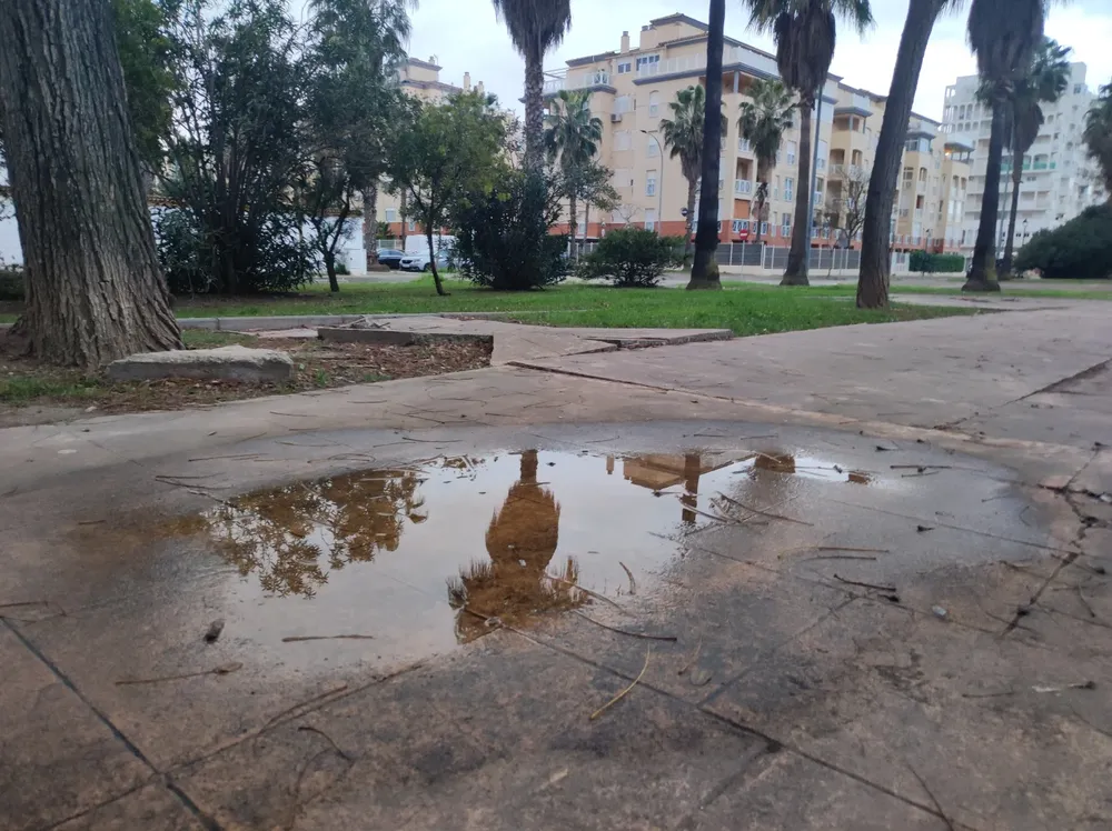 WhatsApp Image 2026-04-06 at 13.19.34