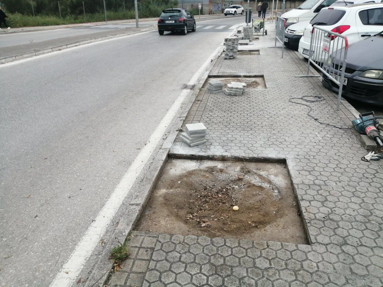 Pavimentación alcorques Avd. Cisnes 21-3-24