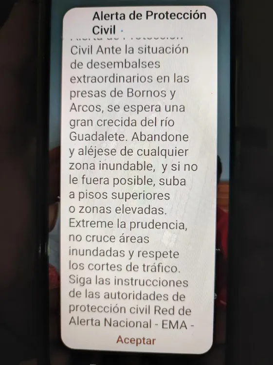 WhatsApp Image 2026-02-05 at 13.19.02