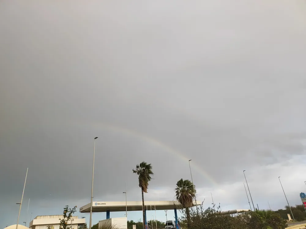 WhatsApp Image 2026-02-10 at 13.16.00