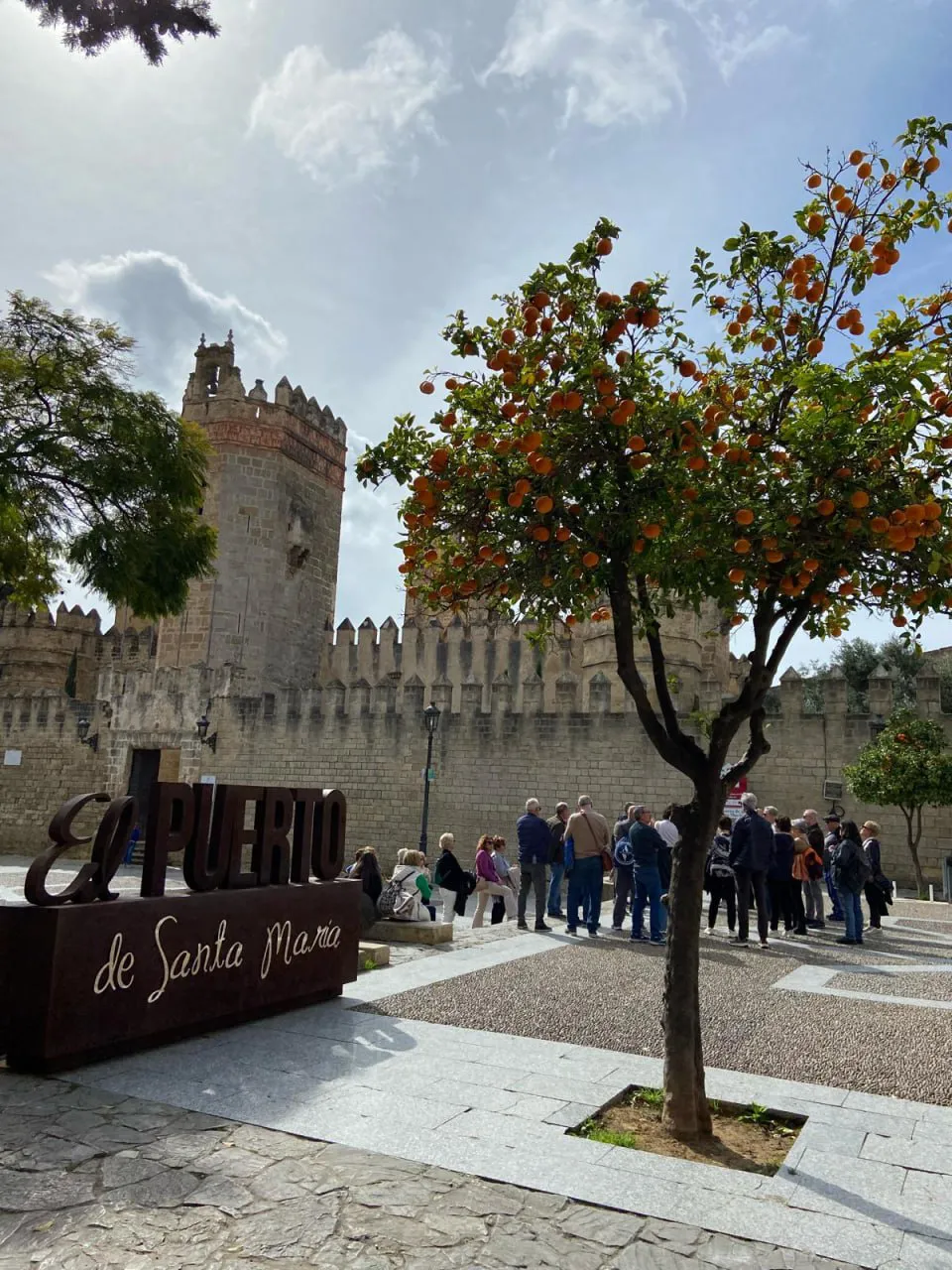 Turistas (1)