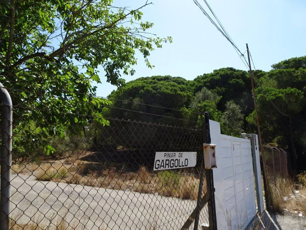Pinar-de-Gargollo-7-25-1