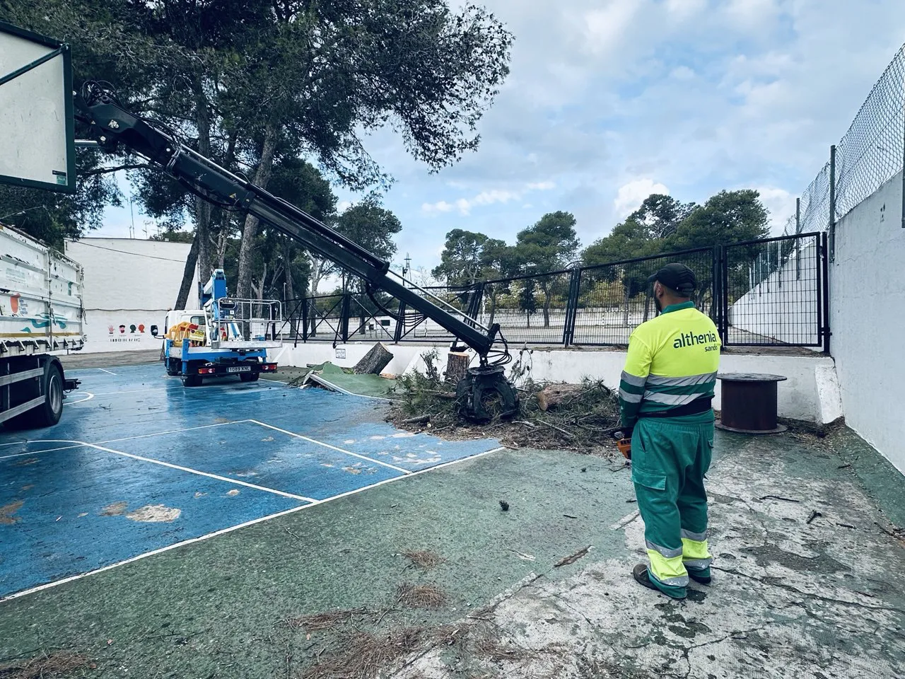 2025.10.30 FOTO PODA DE ÁRBOLES