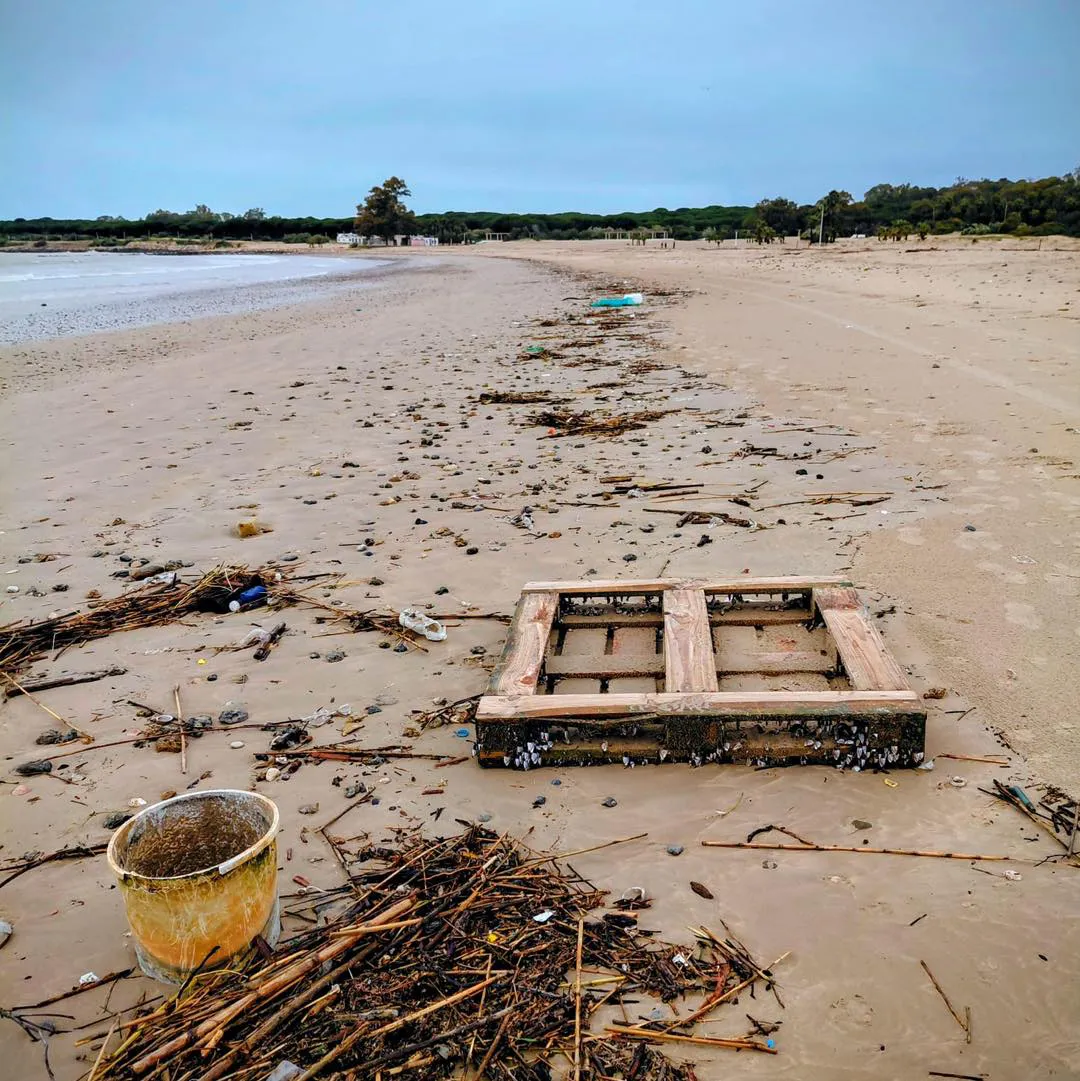 SaveClip.App_630183882_1504836818312792_1350297647569599346_n