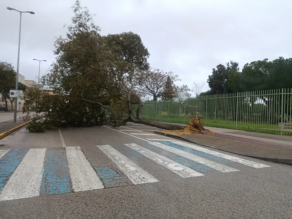 WhatsApp Image 2026-01-28 at 09.32.15