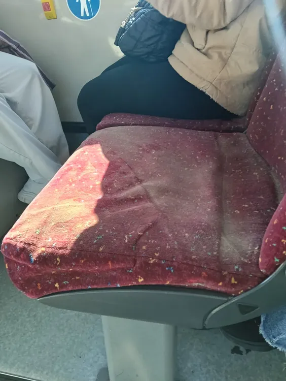 sillón autobús