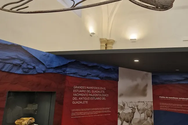 2025. FOTO EXPOSICIÓN PERMANENTE EN EL HOSPITALITO (1)