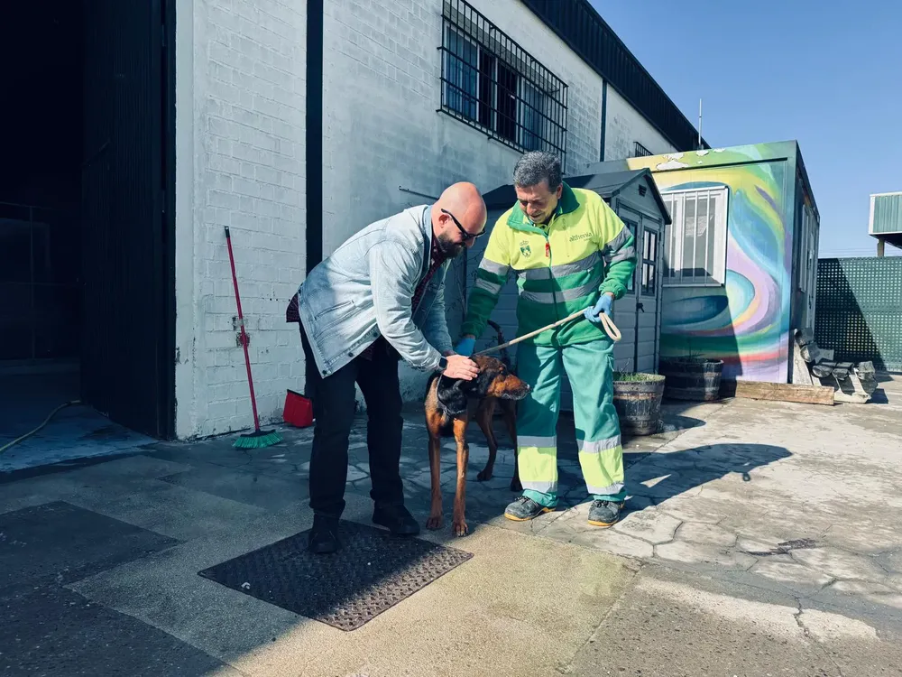 cemuproan balance 2025