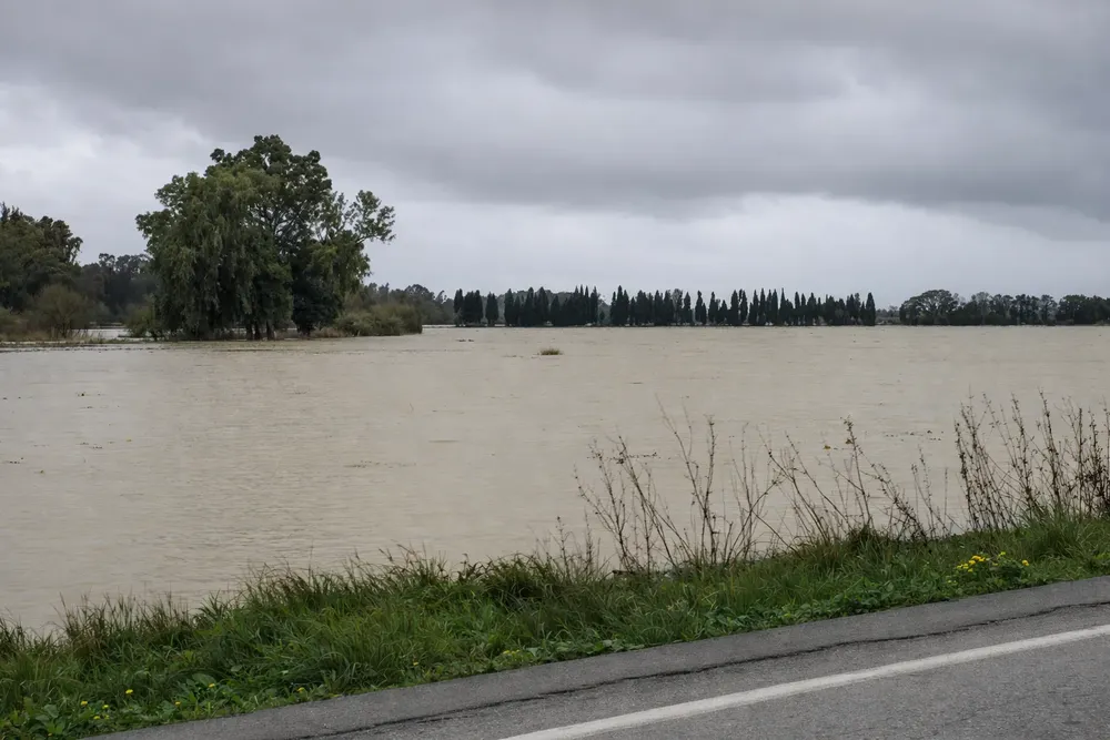 ChatGPT Image 4 feb 2026, 13_13_29