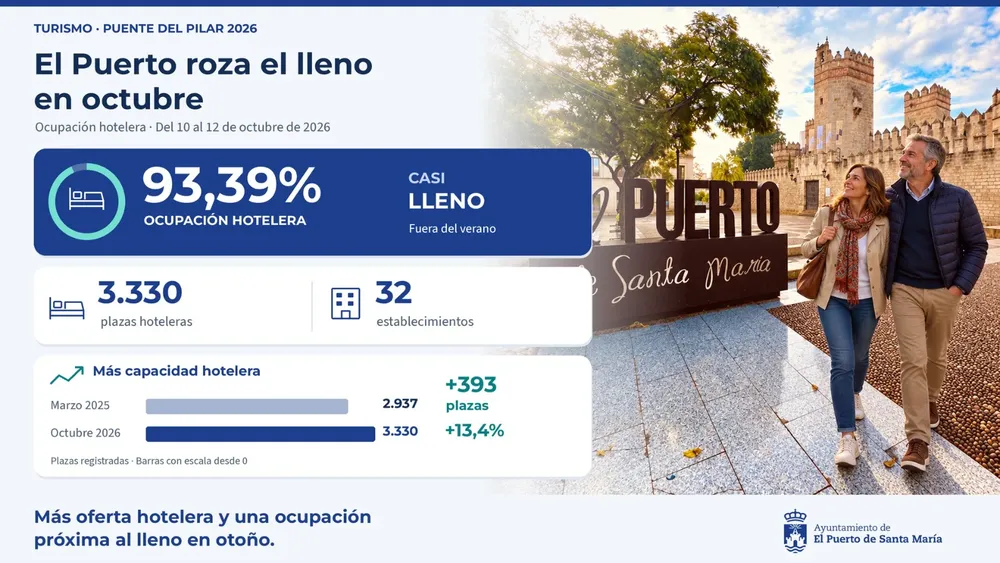 infografía puente del pilar