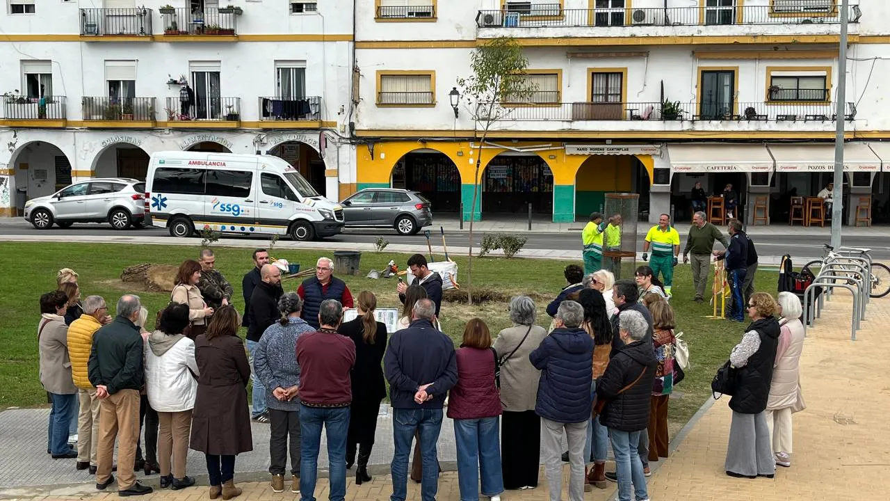 plantación árbol 1