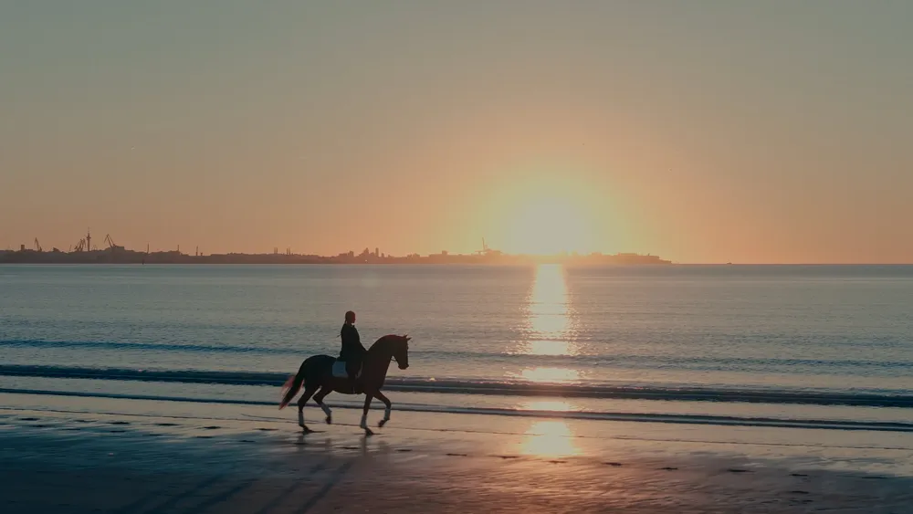 2511_Turismo El Puerto_FITUR_DC.00_00_06_17.Still009_1