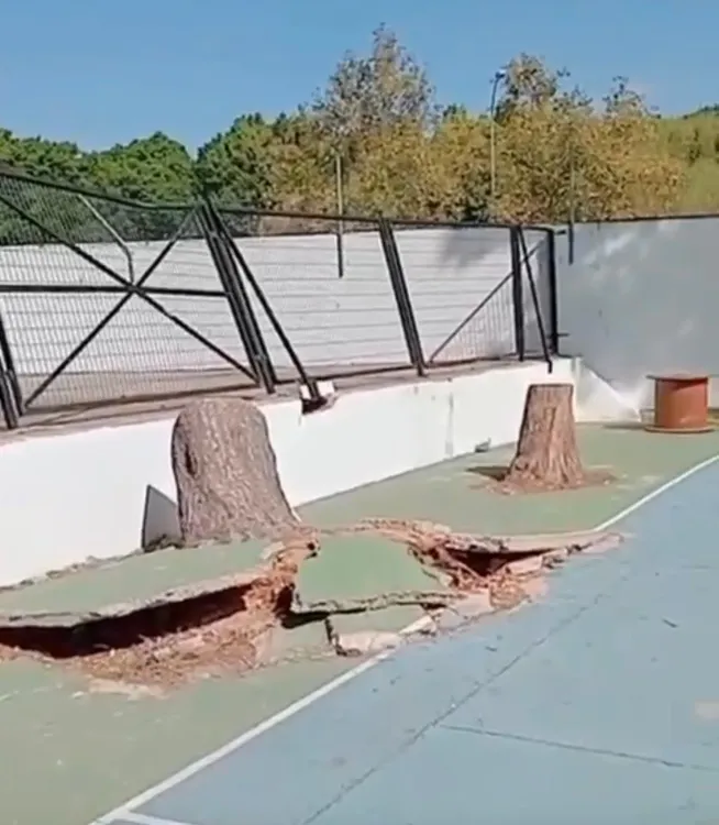 Patio CEIP Cristóbal Colón