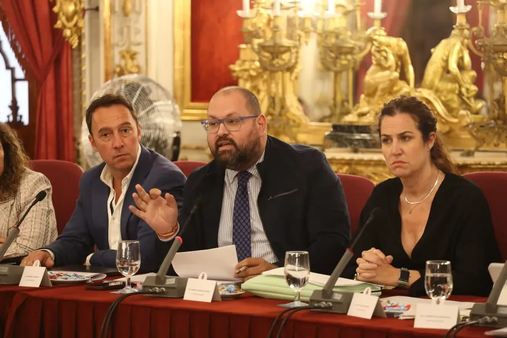PLENO DIPUTACIÓN