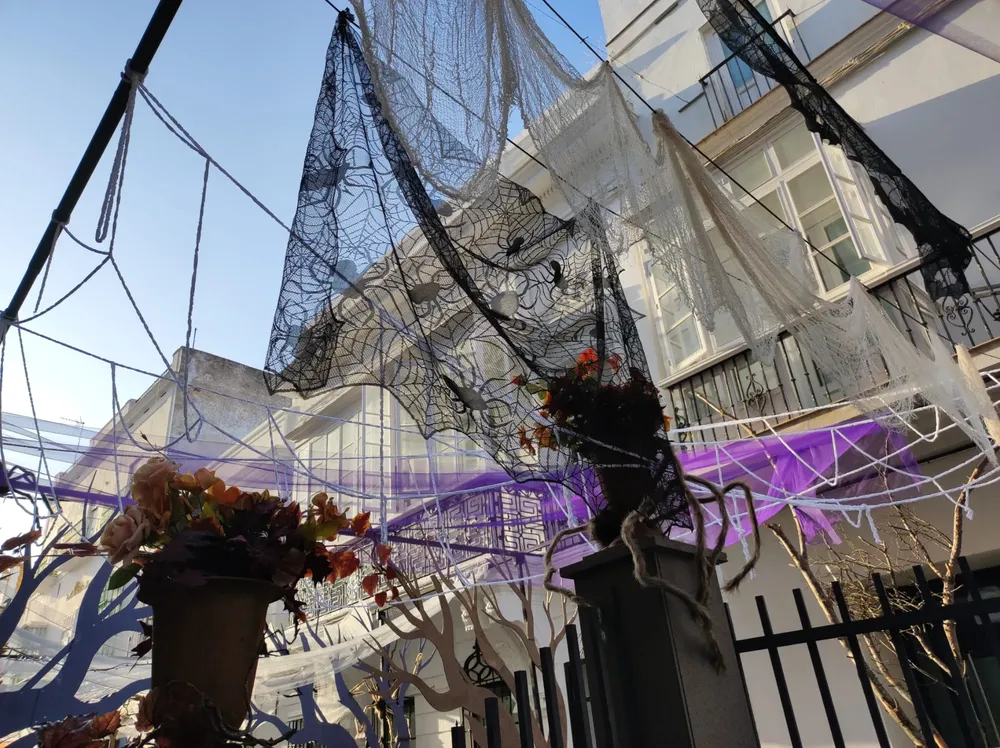 WhatsApp Image 2024-10-28 at 12.12.53