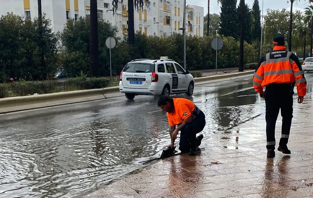 WhatsApp Image 2024-10-30 at 19.48.58