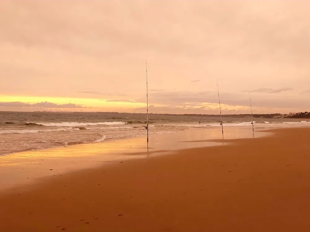 Pesca 3