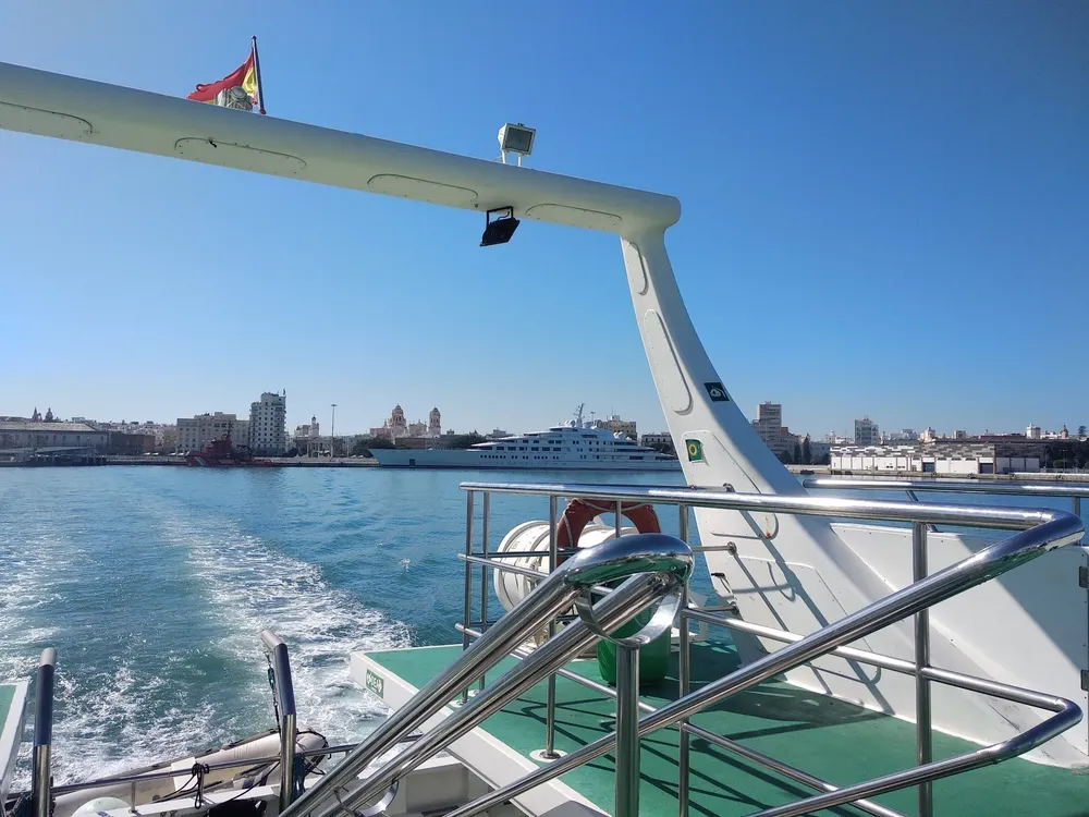 IMG_20201031_133024 (1)