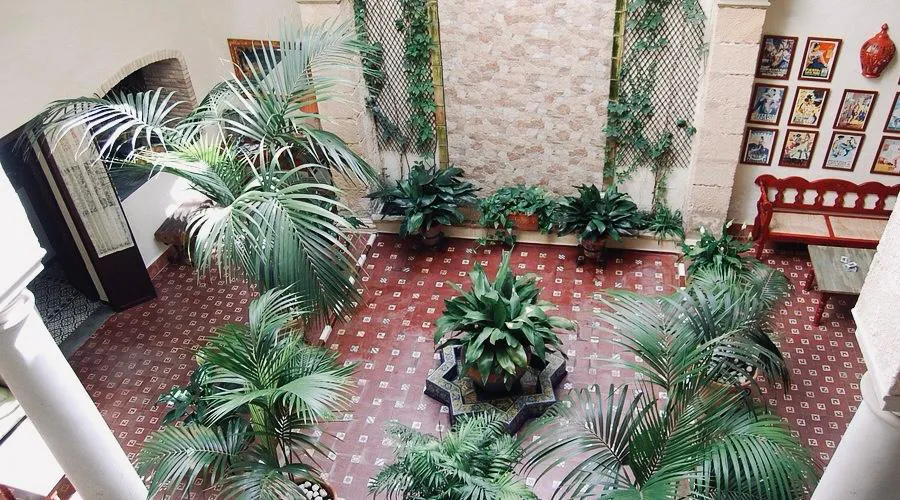 Patio Pensión Boutique San Bartolomé