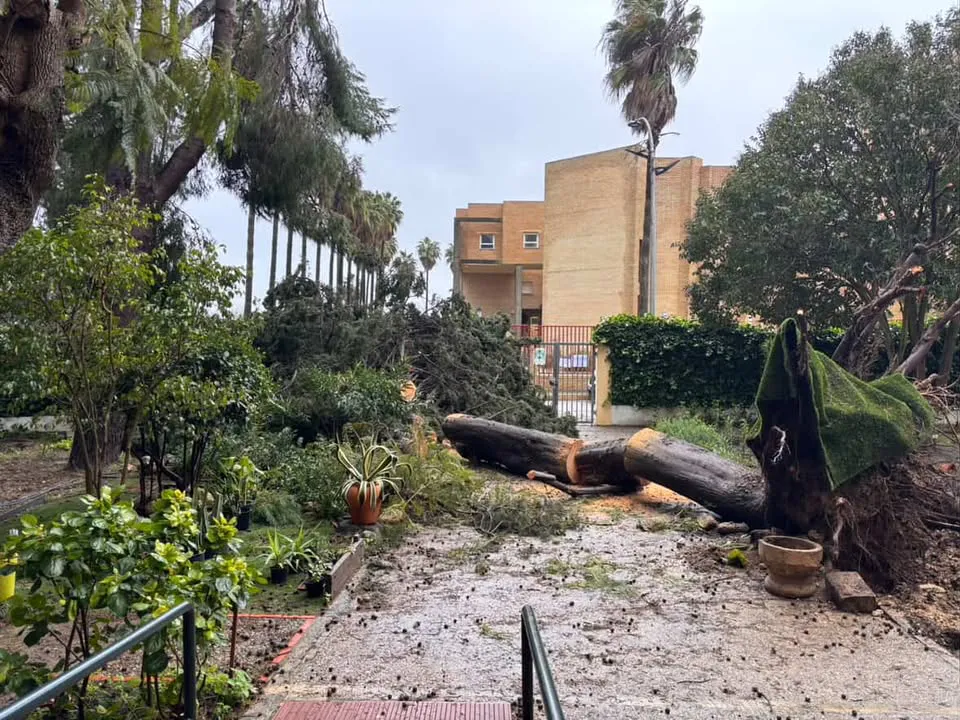 618641399_1617245465981123_2995177726076423557_n