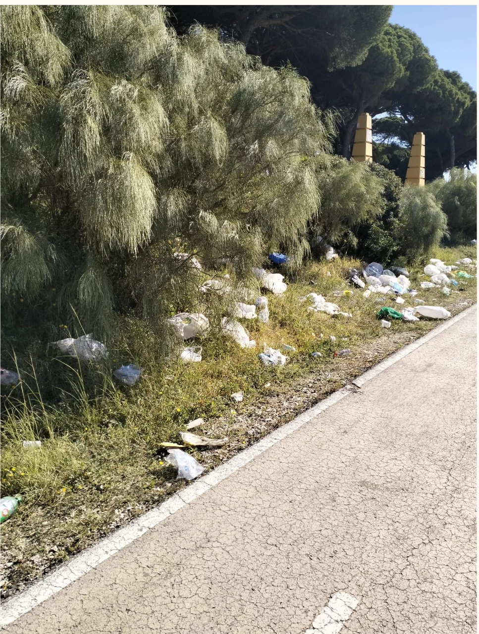 Screenshot_2026-04-07-14-38-06-525_com.google.android.gm-edit