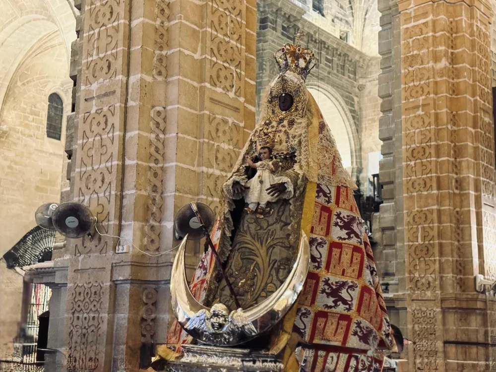patrona 4