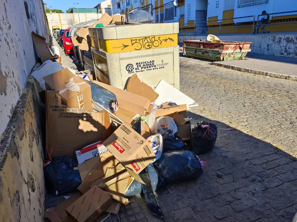 WhatsApp Image 2024-11-11 at 13.13.17