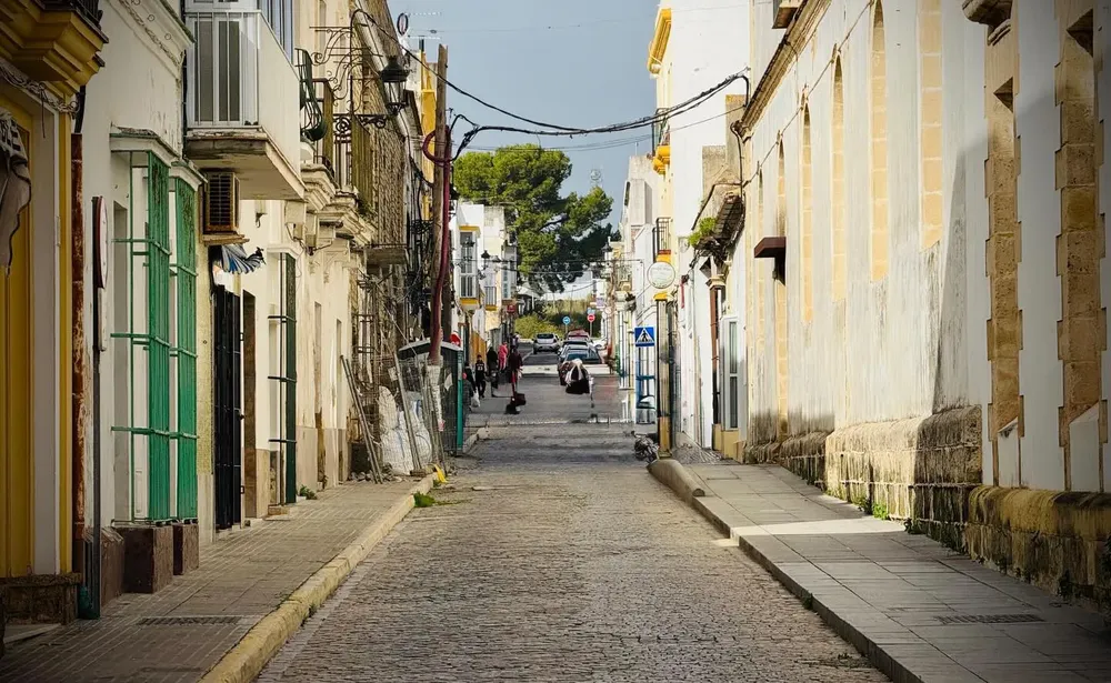 Calle Ganado