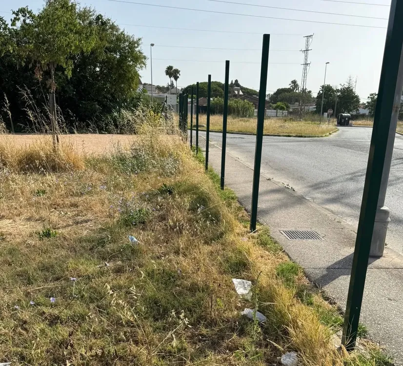 Parque Hernán Díaz junio 2026 (8)