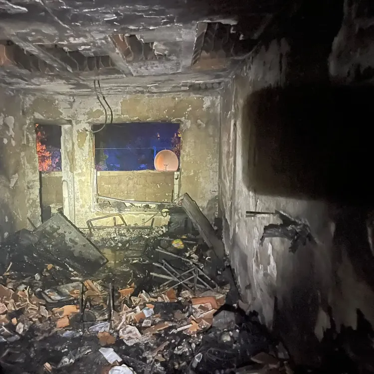 IMG_20241207_164259_005