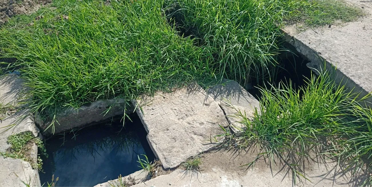 Agua estancada