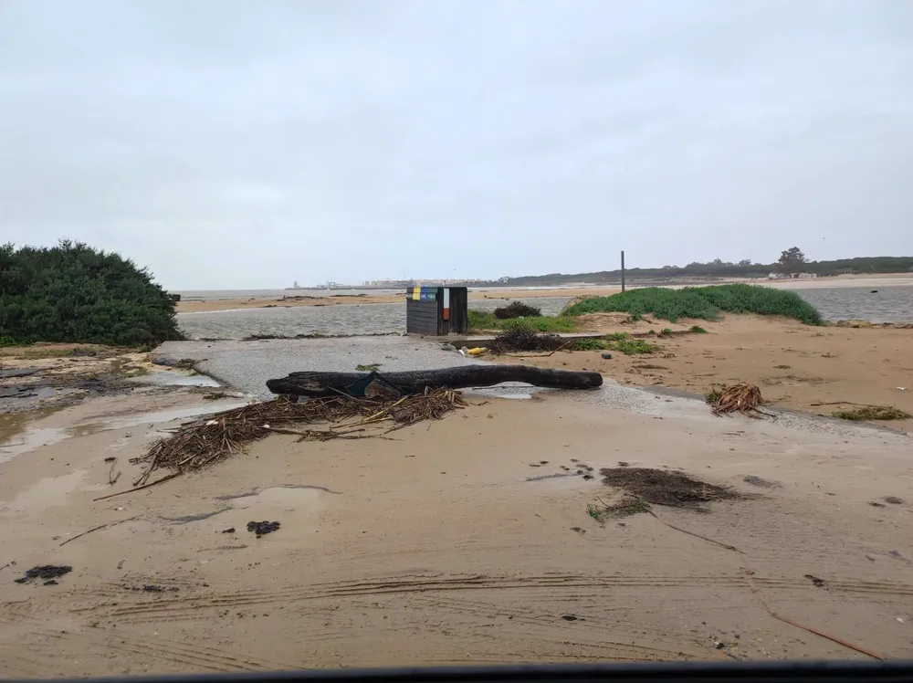 IMG_20260207_121915_comprimida