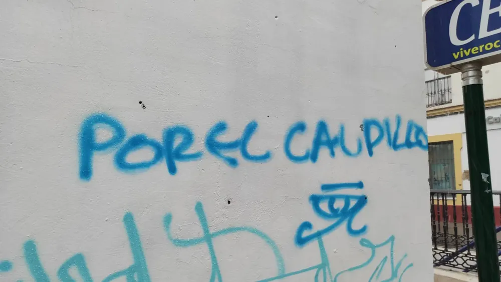 PINTADAS PERAL (15-11-24) (6)