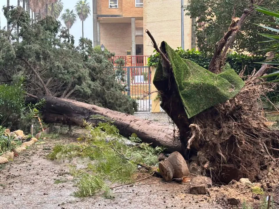 image-1271272598390589