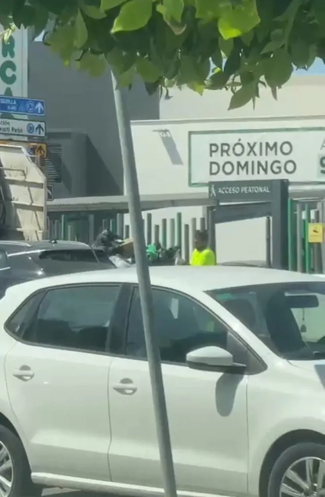 Limpieza Chiclana (Agosto 2024)